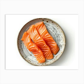 Salmon On A Plate 8 Art Print