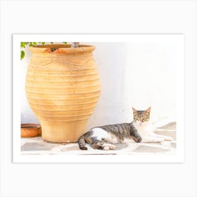 Greek Island Cat Art Print