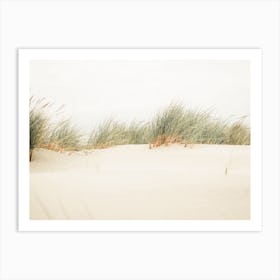 Dune Grass Art Print