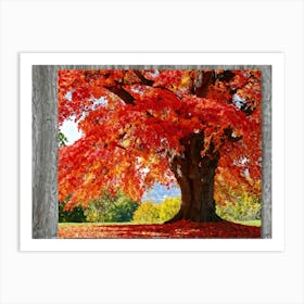 An Autumn Oak Tree Abundantly Lit Branches Spreading Widely Spanning A Slim Sleek Card Leaves Bla 2 1 Art Print