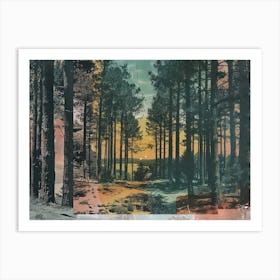 Forest Photo Collage 5 Art Print