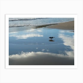 Bird and reflections on the beach Art Print