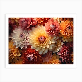 Dahlias 16 Art Print