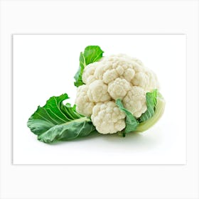 Cauliflower 2 Art Print