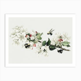 Bees And Blossoms Art Print