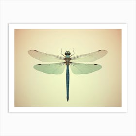 Dragonfly Common Green Darner Anax Juni Illustration 2 Art Print