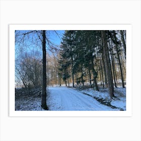 Snowy Path In The Woods 1 Art Print