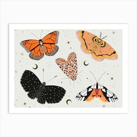 Moths And Butterflies Art Print