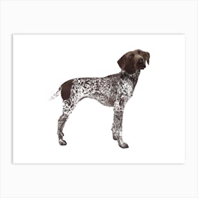 German Shorthaired Pointer Art Print