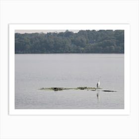 Egret on Hudson Art Print