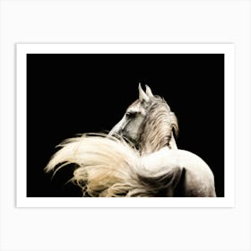 Horsetail in motion - Ardennes Belgian horse photo print - moody animal photography art Art Print