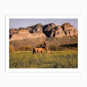 Salt River Canyon Horses Art Print