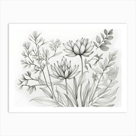 Black And White Drawing Of Flowers 1 Art Print