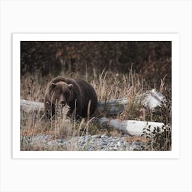 Large Grizzly Bear Art Print