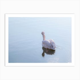 Blue Water Pink Pelican Art Print