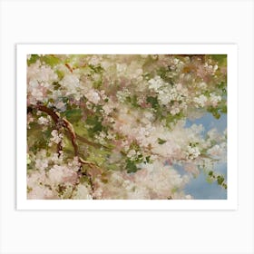 Cherry Blossoms 3 Art Print