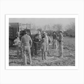 Group Of Mexican Laborers Getting Straw For Tying Carrots Near Santa Maria, Texas By Russell Lee Art Print