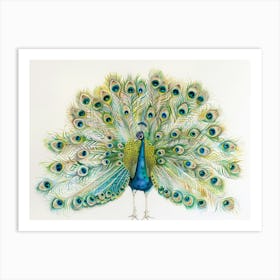 Peacock 25 Art Print