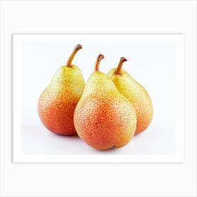 Three Pears Isolated On White 3 Art Print