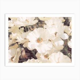 White Flower Bush Art Print