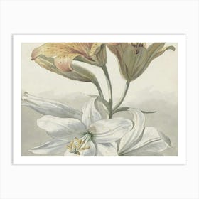 Lily Of The Valley 10 Art Print