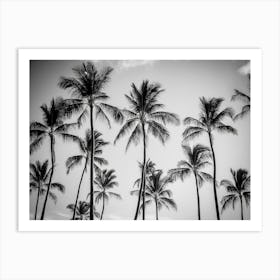 Black And White Palm Trees 1 Art Print