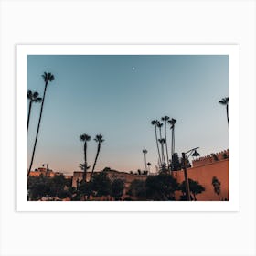 Palmtrees Marrakech Moonlight | Streets of Morocco photography Art Print