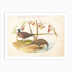 Flying And Amphibious Animals1(575 1580), Joris Hoefnagel Art Print