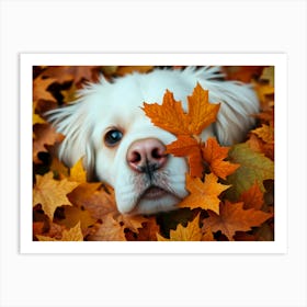 Dog In Autumn Leaves Art Print