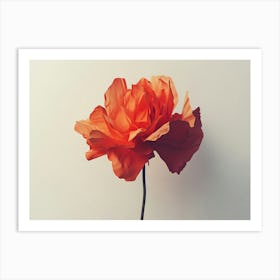 Orange Poppy Flower Art Print