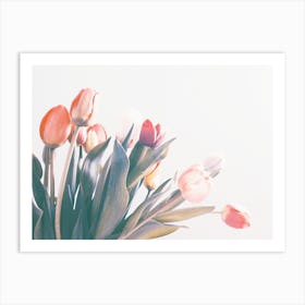 Tulips In Spring Art Print