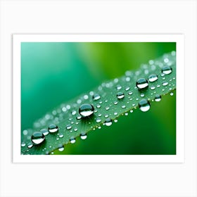 Waterdrops On Plants 12 Art Print