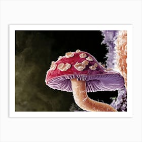 Fungus 2 Art Print