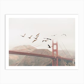 Seagulls And Bridge Art Print