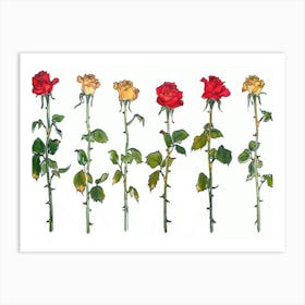 Roses Art Print