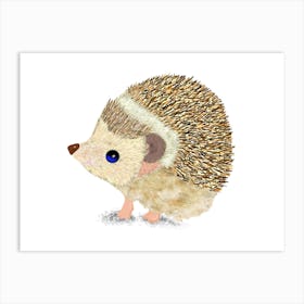 Hedgehog Art Print