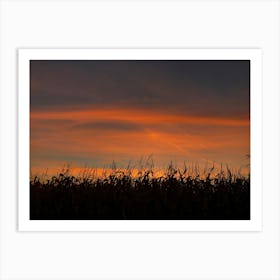 Sunnset Art Print