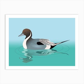 A vector illustration of a northern pintail Art Print