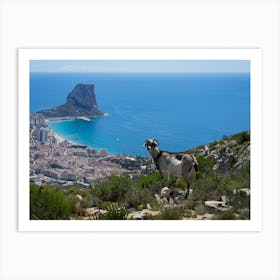 Mountain goat and Mediterranean coast in Calpe Art Print