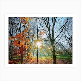 Autumn Sunshine. Art Print