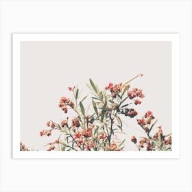 Pink Flower Bush Art Print