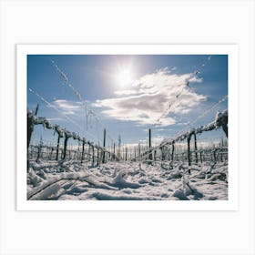 Unitltled 15 - Snow in the Vineyard Series Art Print