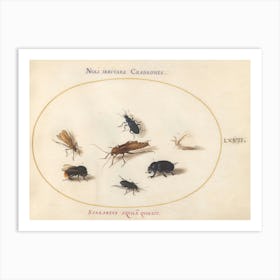 Rational Animals And Insects, Joris Hoefnagel Art Print