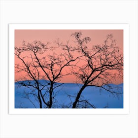 Nature's Palette, Pink And Blue Art Print