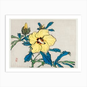 Hibiscus, Kōno Bairei Art Print