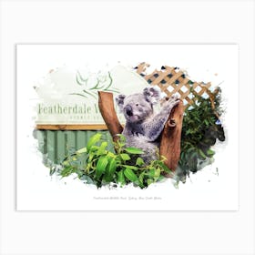 Featherdale Wildlife Park, Sydney, New South Wales Art Print