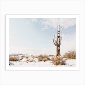 Desert Snow Art Print