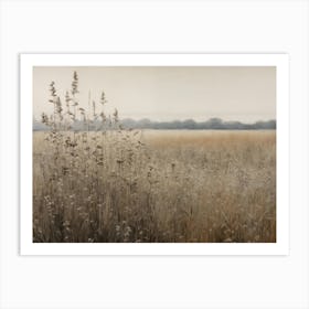 Field Of Tall Grass Art Print