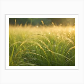 A Close Up Of Tall Grass Blades With Dew Drops In A Field At Sunrise, Highlighting The Beauty And Tranquility Of Nature Art Print