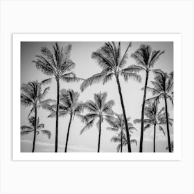 Black And White Palm Trees 2 Art Print